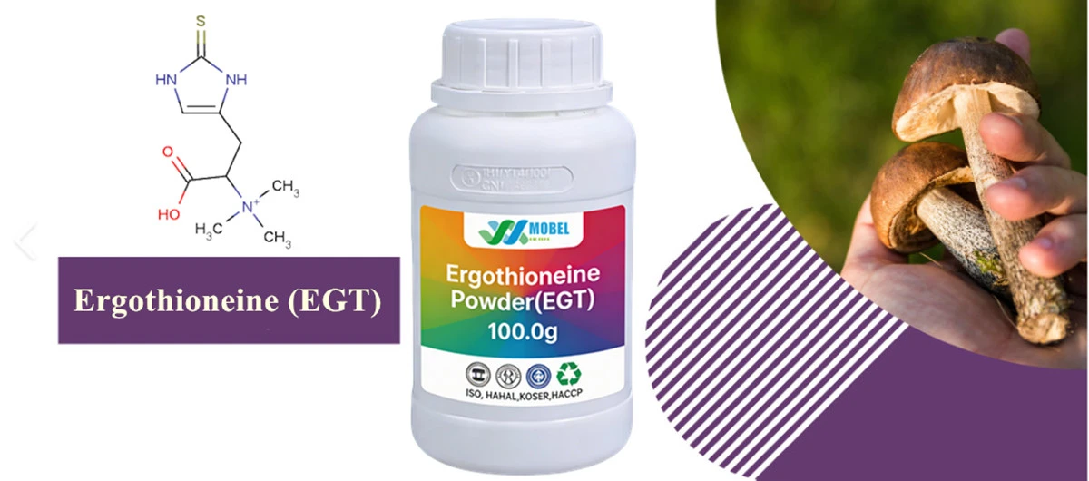 Ergothioneine Powder EGT Supplier Ergothioneine Powder EGT Supplier